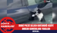 Dubai Polisi Selden Kurtardığı Kediyi Anbean Kameralara Yakaladı