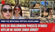 Meslek odalarından Phaselis uyarısı! Koylar ne kadar zarar gördü?