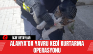 Alanya’da Yavru Kedi Kurtarma Operasyonu