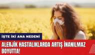 Alerjik hastalıklarda artış inanılmaz boyutlarda! İşte iki ana nedeni