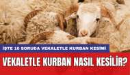 Vekaletle kurban nasıl kesilir? İşte 10 soruda vekaletle kurban kesimi