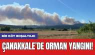 Çanakkale’de orman yangını: Bir köy boşaltıldı