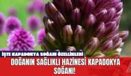 Doğanın Sağlıklı Hazinesi Kapadokya Soğanı! İşte Kapadokya Soğanı Özellikleri