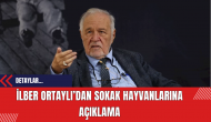 İlber Ortaylı’dan sokak hayvanları için açıklama