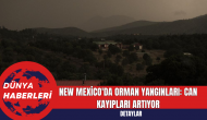 New Mexico'da Orman Yangınları: Can Kayıpları Artıyor