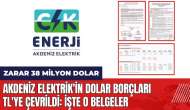 Akdeniz Elektrik'in dolar borçları TL'ye çevrildi: Zarar 38 milyon dolar