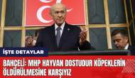 Bahçeli: MHP hayvan dostudur köpeklerin öldürülmesine karşıyız