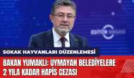 Sokak hayvanları düzenlemesi: Bakan Yumaklı: Uymayan belediyelere 2 yıla kadar hapis cezası