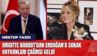 Brigitte Bardot'dan Erdoğan'a sokak hayvanları çağrısı geldi