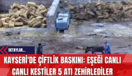 Kayseri'de Çiftlik Baskını: Eşeği Canlı Canlı Kestiler 5 Atı Zehirlediler