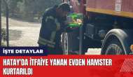 Hatay'da itfaiye yanan evden hamster kurtarıldı