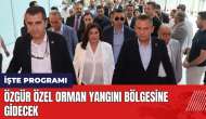 Özgür Özel orman yangını bölgesine gidecek