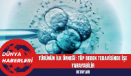 Türünün İlk Örneği: Tüp Bebek Tedavisinde İşe Yarayabilir