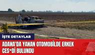 Adana'da yanan otomobilde erkek ces*di bulundu