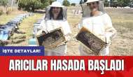 Arıcılar hasada başladı