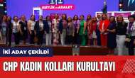 CHP Kadın Kolları Kurultayı tamamlandı