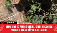 Demre'de 10 Metre Derinliğindeki Kuyuda Mahsur Kalan Köpek Kurtarıldı