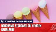 Dondurma standartları yeniden belirlendi! İşte yeni meyve oranları