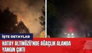 Hatay Altınözü'nde ağaçlık alanda yangın çıktı