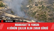 Manavgat’ta Yangın: 4 Dönüm Çalılık Alan Zarar Gördü