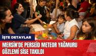 Mersin'de Perseid meteor yağmuru gözlemi sise takıldı