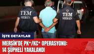 Mersin'de PK*/KC* operasyonu: 14 şüpheli yakalandı