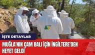 Muğla'nın çam balı için İngiltere'den heyet geldi