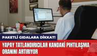 Paketli gıdalara dikkat! Yapay tatlandırıcılar kandaki pıhtılaşma oranını artırıyor