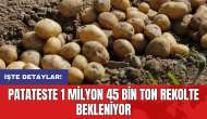 Patateste 1 milyon 45 bin ton rekolte bekleniyor