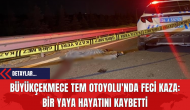 Büyükçekmece TEM Otoyolu'nda Feci Kaza: Bir Yaya Hayatını Kaybetti