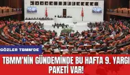 TBMM'nin gündeminde bu hafta 9. Yargı Paketi var! Gözler TBMM'de