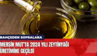 Mersin Mut'ta 2024 yılı zeytinyağı üretimine geçildi