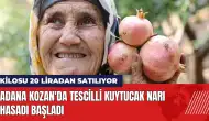 Adana Kozan'da tescilli Kuytucak narı hasadı başladı