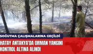 Hatay Antakya'da orman yangını kontrol altına alındı