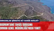 Bodrum’daki tahsis iddiasına Orman Genel Müdürlüğü’nden yanıt!