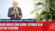 İlber Ortaylı'dan çağrı: Zeytinlik alın zeytin yetiştirin