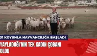 31 koyunla hayvancılığa başladı! Yayladağı'nın tek kadın çobanı oldu