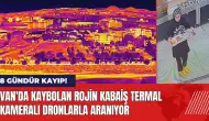 Van'da kaybolan Rojin Kabaiş termal kameralı dronlarla aranıyor