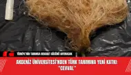 Akdeniz Üniversitesi'nden Türk tarımına yeni katkı: "Cevval"