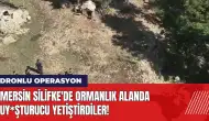 Mersin Silifke'de ormanlık alanda uy*şturucu yetiştirdiler!