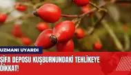 Şifa deposu kuşburnundaki tehlikeye dikkat! Fazlası zarar