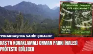 Kaş'ta konaklamalı orman parkı ihalesi protesto edilecek