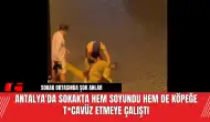 Antalya'da sokakta hem soyundu hem de köpeğe t*cavüz etmeye çalıştı