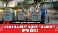 Alanya’da Sinek ve Haşereyle Mücadeleye Devam Ediyor