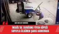 İnegöl'de Tavuğunu Yiyen Köpeği Sopayla Ö*düren Şahıs Kamerada