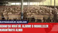 Adana'da mavi dil alarmı! O mahalleler karantinaya alındı