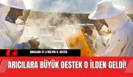 Arıcılara Büyük Destek O İlden Geldi! Arıcılara 47,4 milyon TL Destek