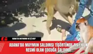 Adana'da Maymun Saldırısı Tişörtünde Maymun Resmi Olan Çocuğa Saldırdı