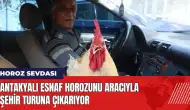 Antakyalı esnaf horozunu aracıyla şehir turuna çıkarıyor