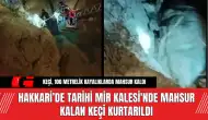 Hakkari’de Tarihi Mir Kalesi'nde Mahsur Kalan Keçi Kurtarıldı